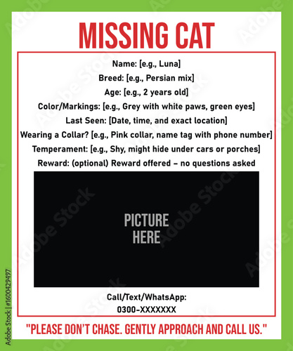 missing cat poster