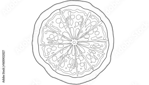 Outline of a lemon slice in black and white sketch style  