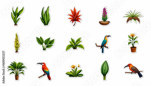 Tropical plants and exotic birds in colorful illustration style  