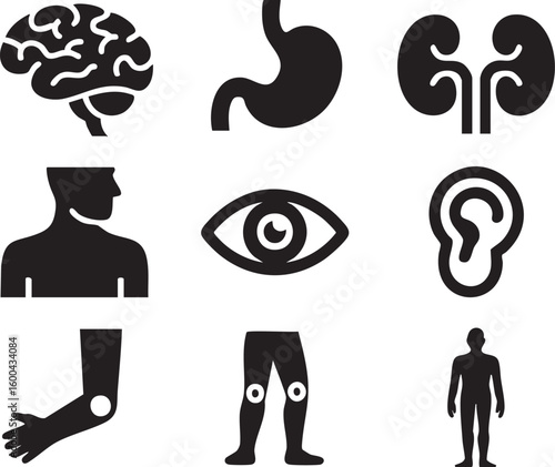 Human Anatomy Icons Set Featuring Brain Stomach Kidneys Eye Ear Elbow Knees and Full Body in Black Silhouette on White Background for Medical