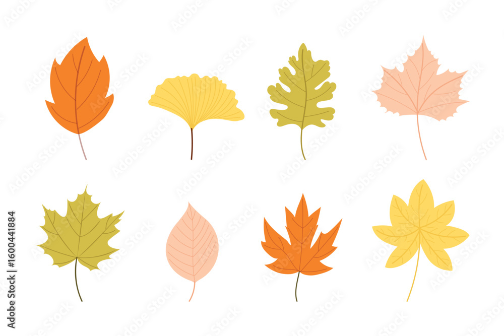 Fototapeta premium Set of autumn leaves. Vector illustration isolated on white background