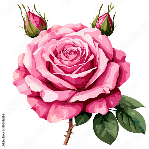 Hand-painted watercolor illustration of a vibrant pink rose with green leaves