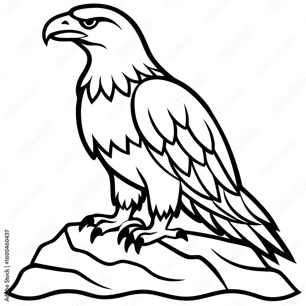 Obraz premium eagle vector illustration