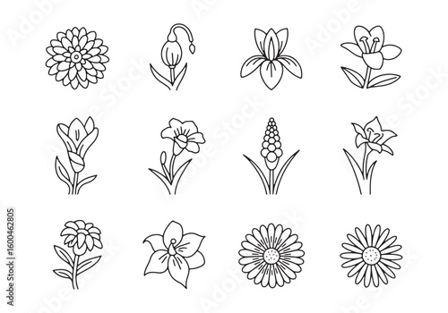 Collection of twelve black and white line art flower illustrations on a white background floral drawing