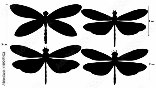 Four black dragonfly silhouettes with dimensions shown on a white background design layout view