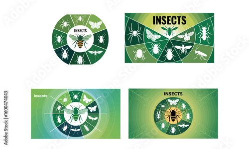 Insects infographic circle chart with different bugs and butterflies illustration for nature science and biology education

