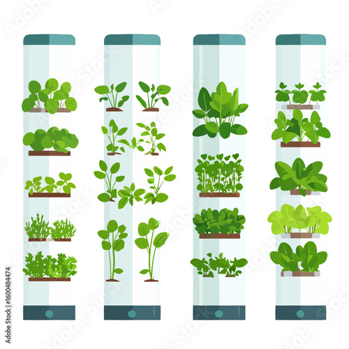 Vertical Farming System with Various Green Leafy Plants in Columns