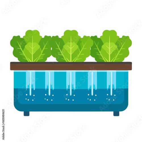 Hydroponic Lettuce Garden Bed with Water Feature