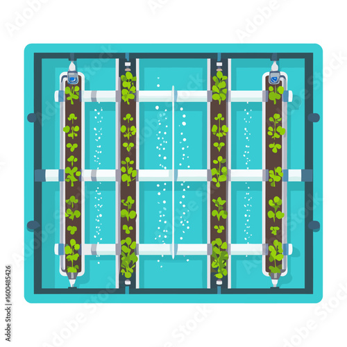 Modern vertical hydroponic system with green seedlings growing in aerated water, top-down view.