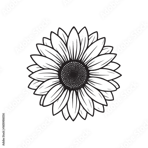 Sunflower design for decoration, branding, and print projects