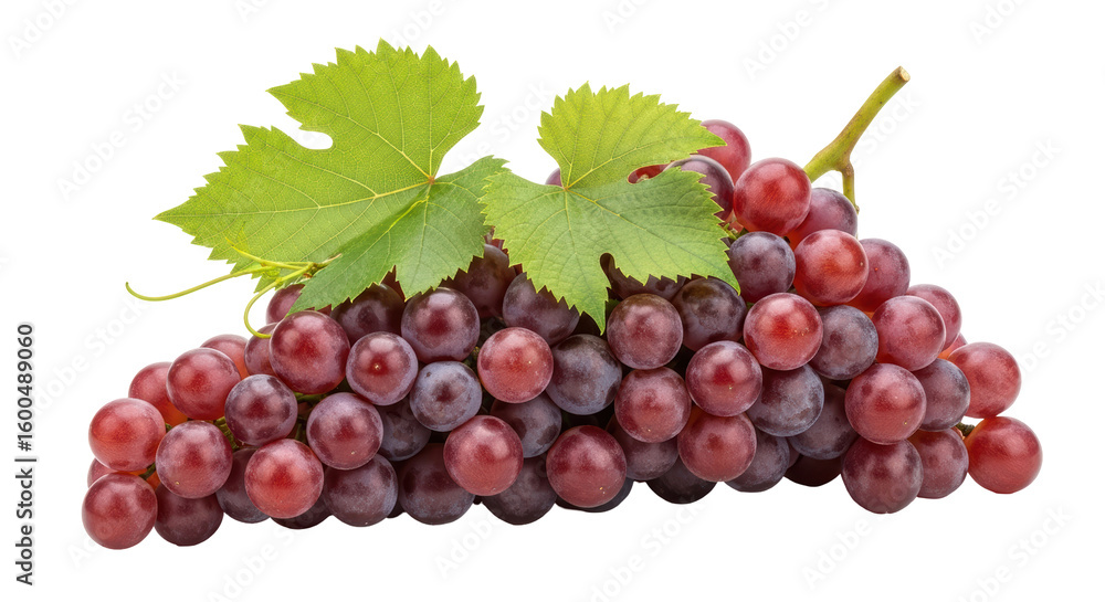Obraz premium Isolated Red Grapes with Leaf, Bunch of Grapes