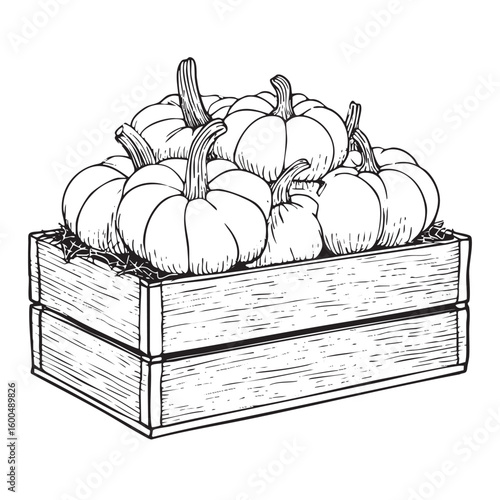 Basket of pumpkins for autumn decorations and harvest celebrations