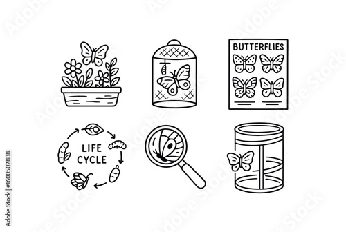 hand drawn cute out doodle style isolated butterfly garden planter butterfly emergence chamber butterfly species poster butterfly life cycle model butterfly wing magnifier butterfly release