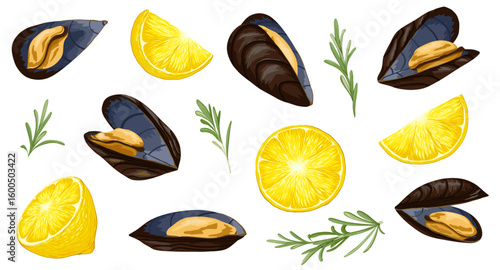 Vector set with mussels, lemon slices and rosemary sprigs. Hand drawn seafood illustration on white background for menu, cookbook, food packaging, branding, sticker and Mediterranean cuisine visuals