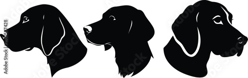 dog head, realistic, black and white illustration, digital art, high detail, precise lines, sharp contrast
