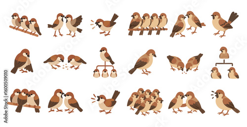 Birds flat icons set – silhouette, nature, wildlife, avian symbols