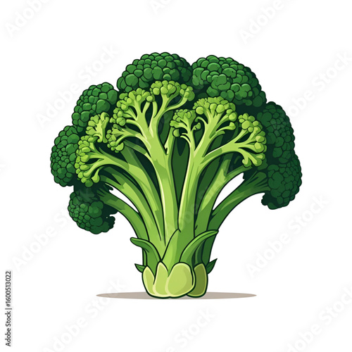 Fresh Broccoli Flat Design Illustration