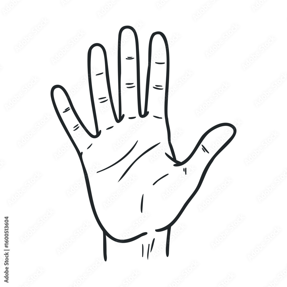 Obraz premium Sketch of an open hand with detailed lines and features on white background