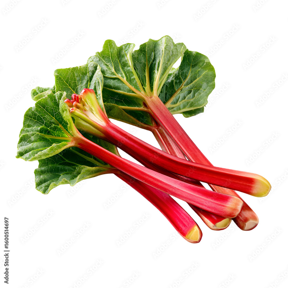 Freshly harvested vibrant red rhubarb stalks with green leaves isolated on transparent background Freshly harvested vibrant red rhubarb stalks with green leaves isolated on transparent background
