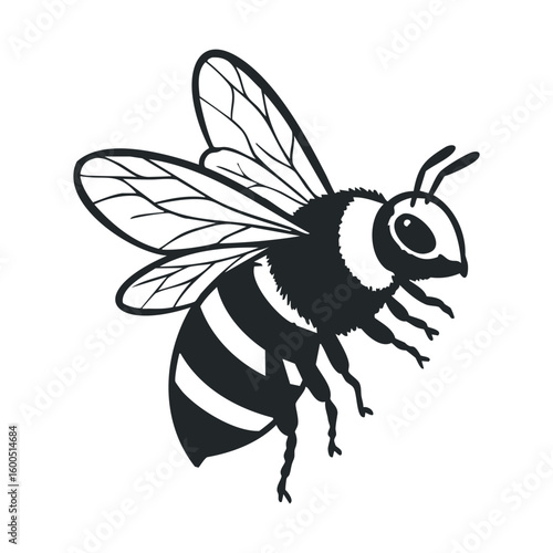 Monochrome illustration of a honey bee in detailed side view