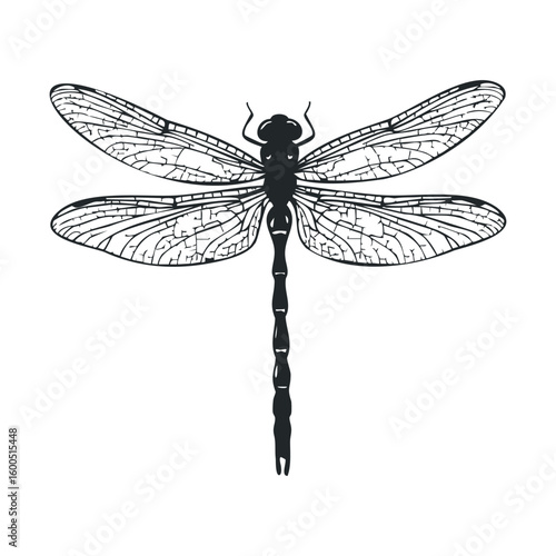 Intricate silhouette of a dragonfly with detailed wings