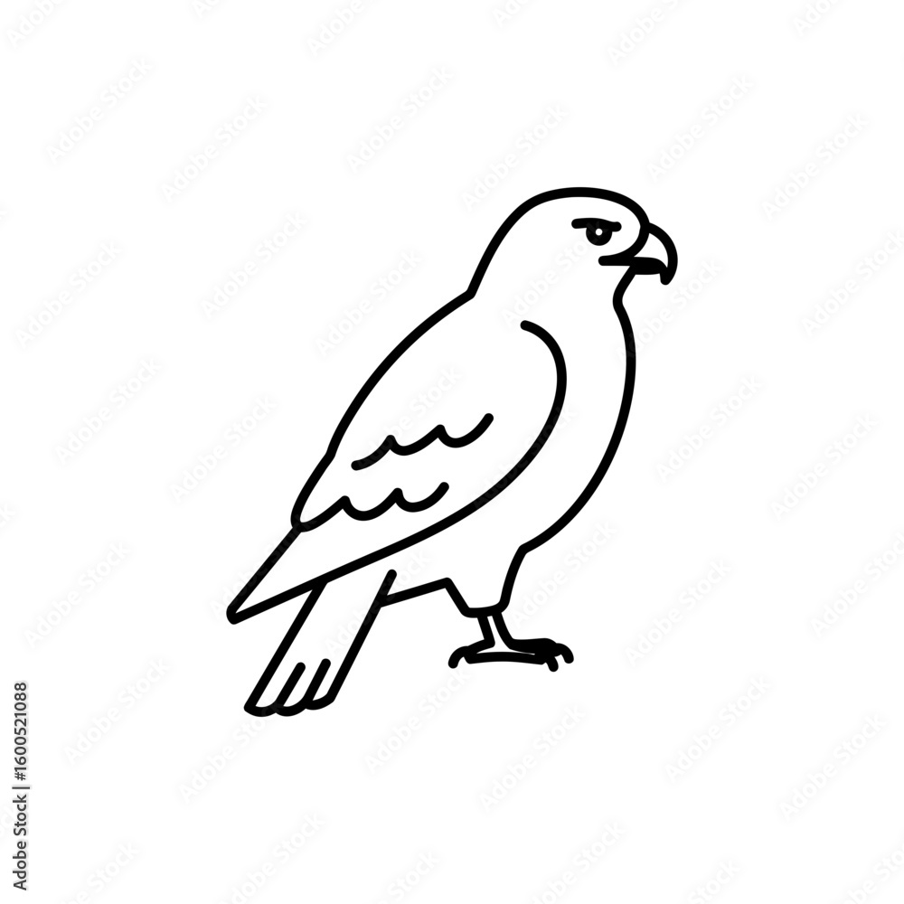 Fototapeta premium Thin Line Illustration of a Hawk in Flight