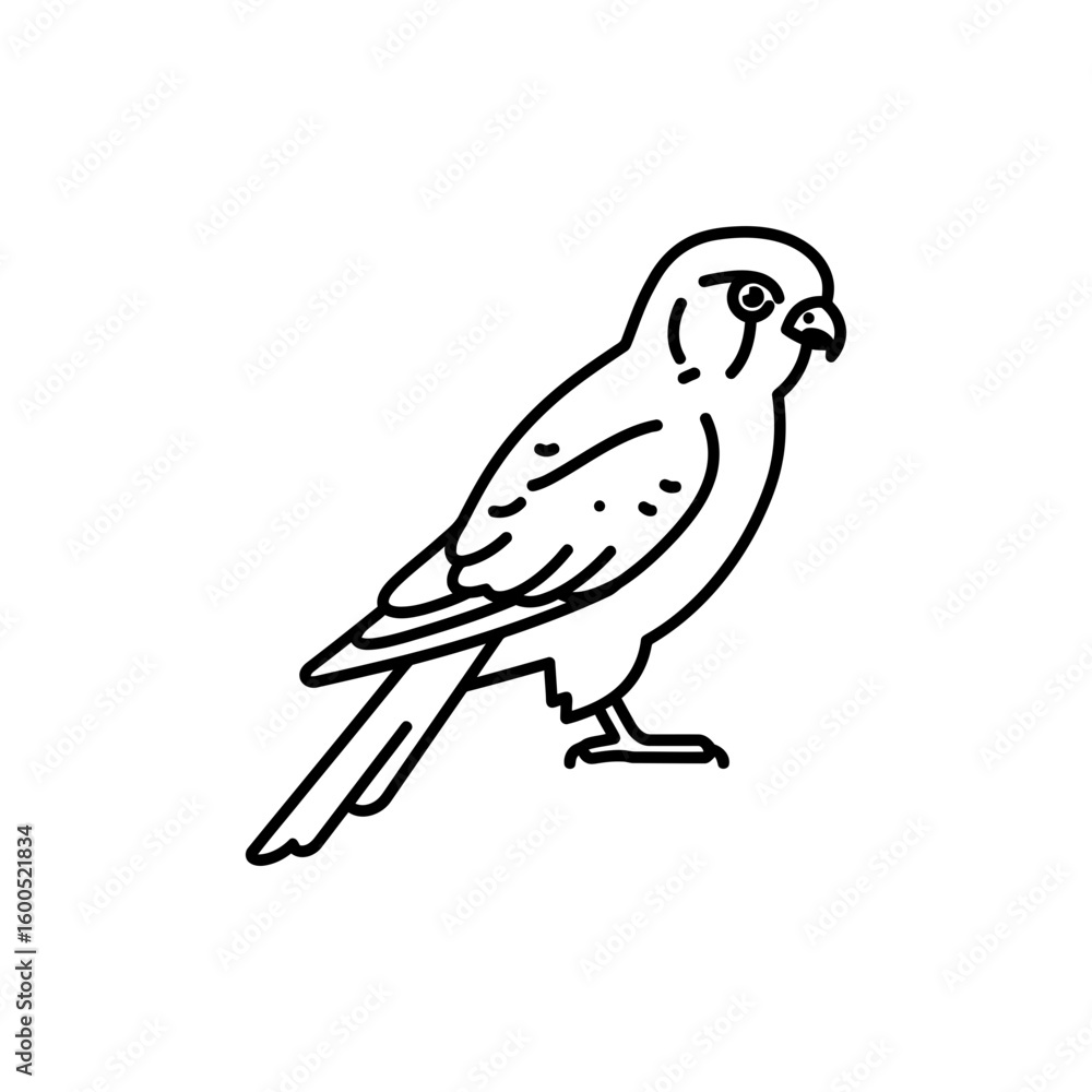 Fototapeta premium Thin Line Outline Icon of a Kestrel Bird