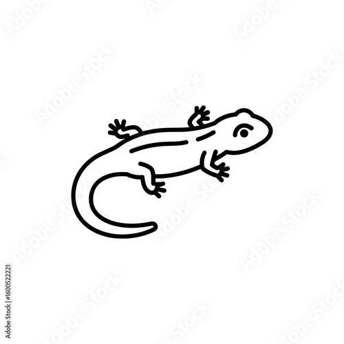 Minimal Outline Shape of a Salamander in Side Profile