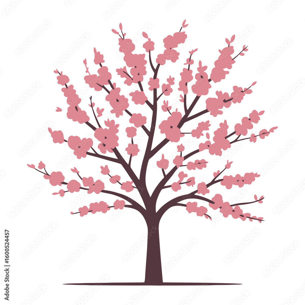 Cherry tree, vector illustration on white background. Cherry tree, vector illustration on white background.
