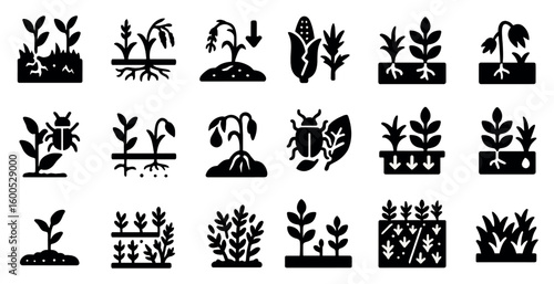 Plant disease solid icons set – solid, silhouette, pest control and horticulture graphics