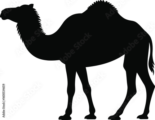 Black Silhouette of a One-Humped Camel Standing on White Background