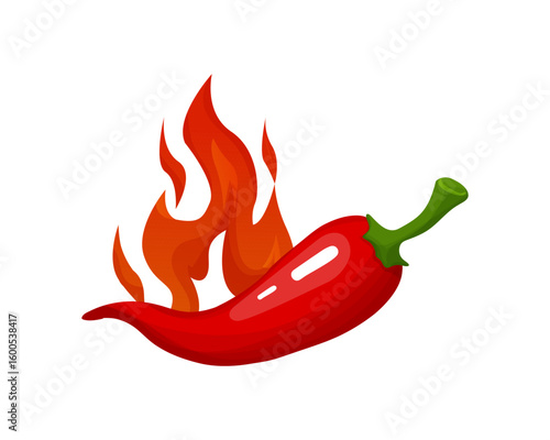 Pepper Spicy chili pepper level scale icon, label. Traditional Mexican, Chinese, asian spicy levels. mild, spicy, hot. Chili pepper red outline icon