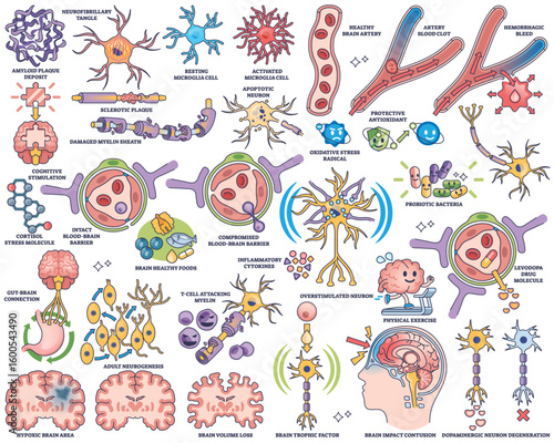 Neuropathology and brain health concepts are illustrated with neurons, brain cells, and synapses in a clear outline style. Outline style collection