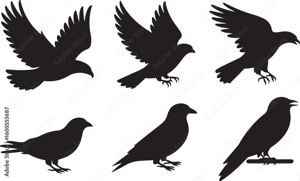 Obraz premium Black bird silhouettes in various poses flying perched