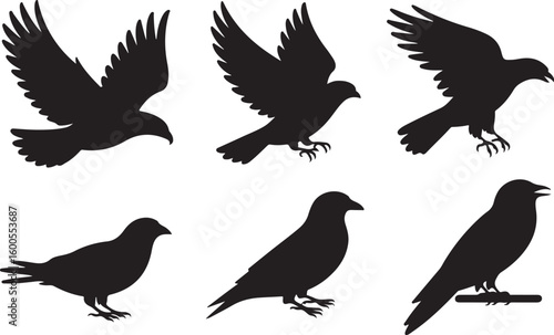 Black bird silhouettes in various poses flying perched