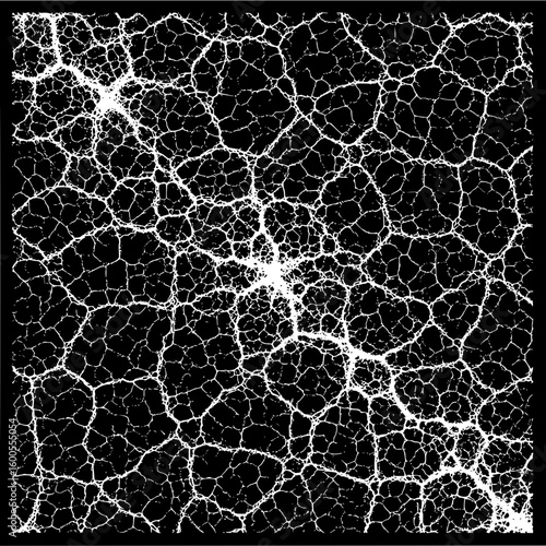 White lines form a cellular network on a black background with bright central and upper left areas