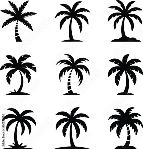 Collection of silhouetted palm trees in various styles and poses
