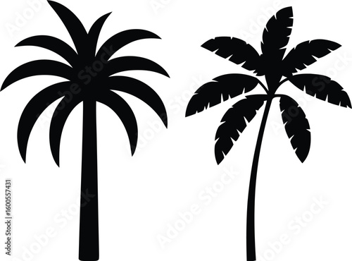 Two silhouetted palm trees against a white background