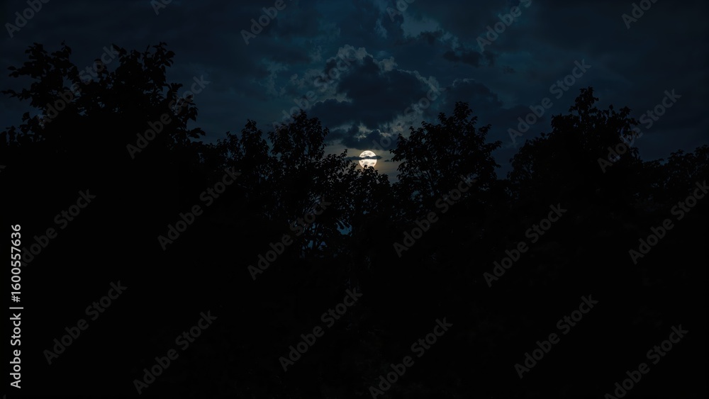 Fototapeta premium Dark trees silhouetted against a large moon on a gloomy night