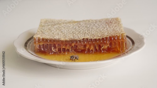A piece of honeycomb with honey on a plate and a bee drinking honey.