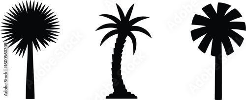 Three silhouetted palm trees against a white background