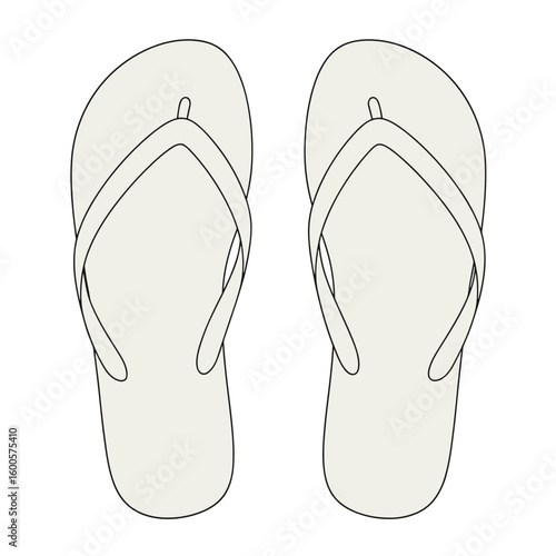 flip flops sandals vector illustration