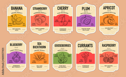 Vintage Fruit Label Set. Vector Emblems, Sketch Style Logos, and Farm-Themed Templates