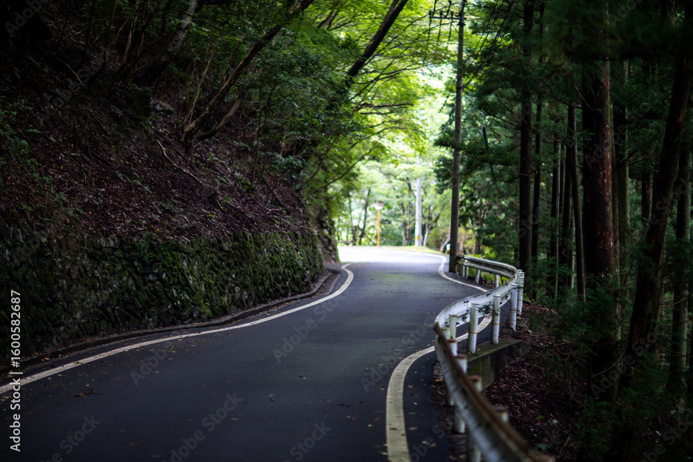 Obraz premium Oboke-Iya Gorge Trail in Tokushima Prefecture, Japan