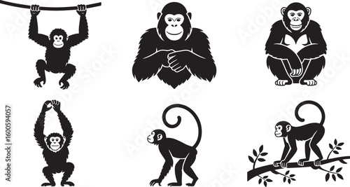 Silhouette Monkeys Set Vector Illustration Jungle Wildlife Mammals Primate Apes Swinging