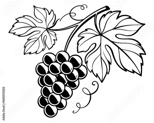 Black and white illustration of a grape cluster and leaves silhouette