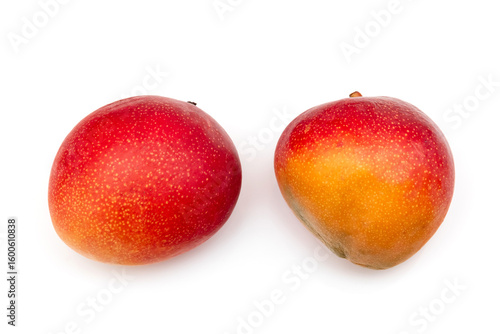 Ripe Kent Mango's isolated on a white studio background.