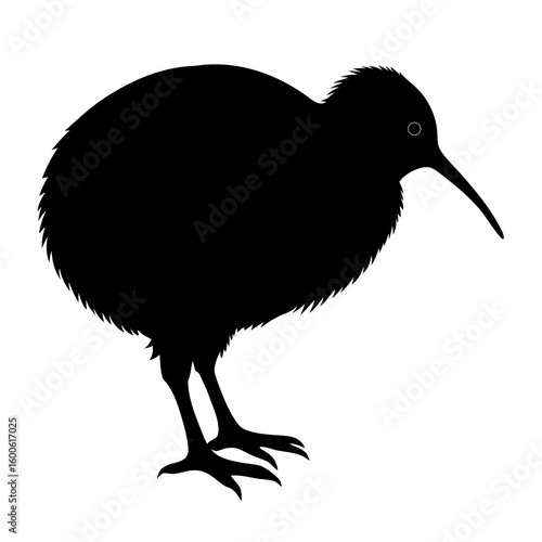 crow on a white background