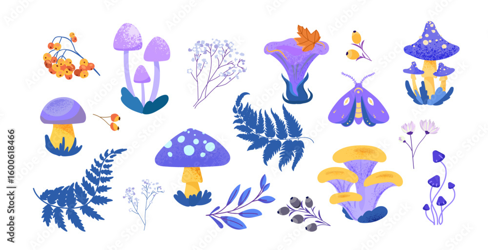 Fototapeta premium Forest elements set with different types of mushrooms leaves ferns berries flowers and moth in flat style, for botanical illustrations greeting cards stickers patterns prints digital design .Vector
