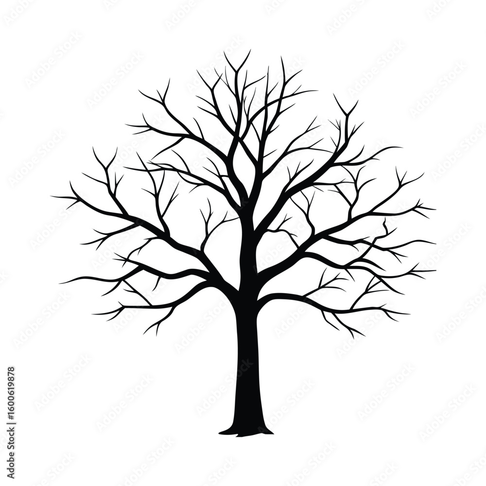 Obraz premium Silhouette of a bare tree with intricate branches against a white background